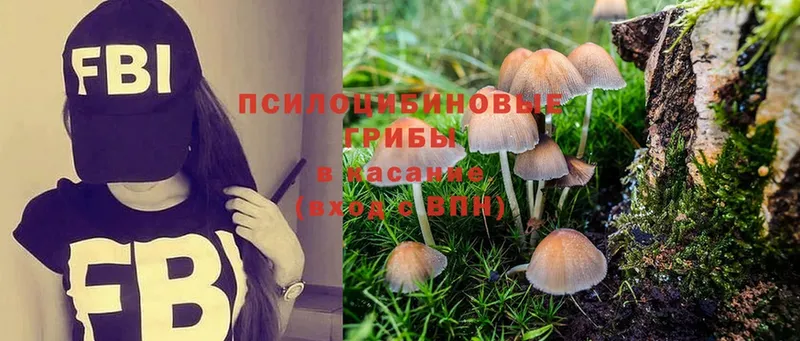 Псилоцибиновые грибы MAGIC MUSHROOMS  даркнет сайт  Стерлитамак 